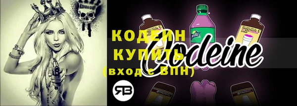 соль ск Каменногорск
