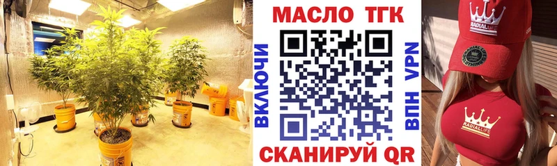 Купить закладки  Нолинск  ТГК гашишное масло 