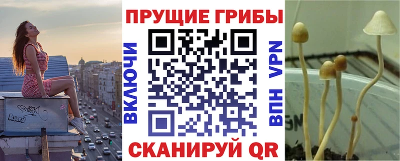 Псилоцибиновые грибы прущие грибы  Купить  Нолинск 
